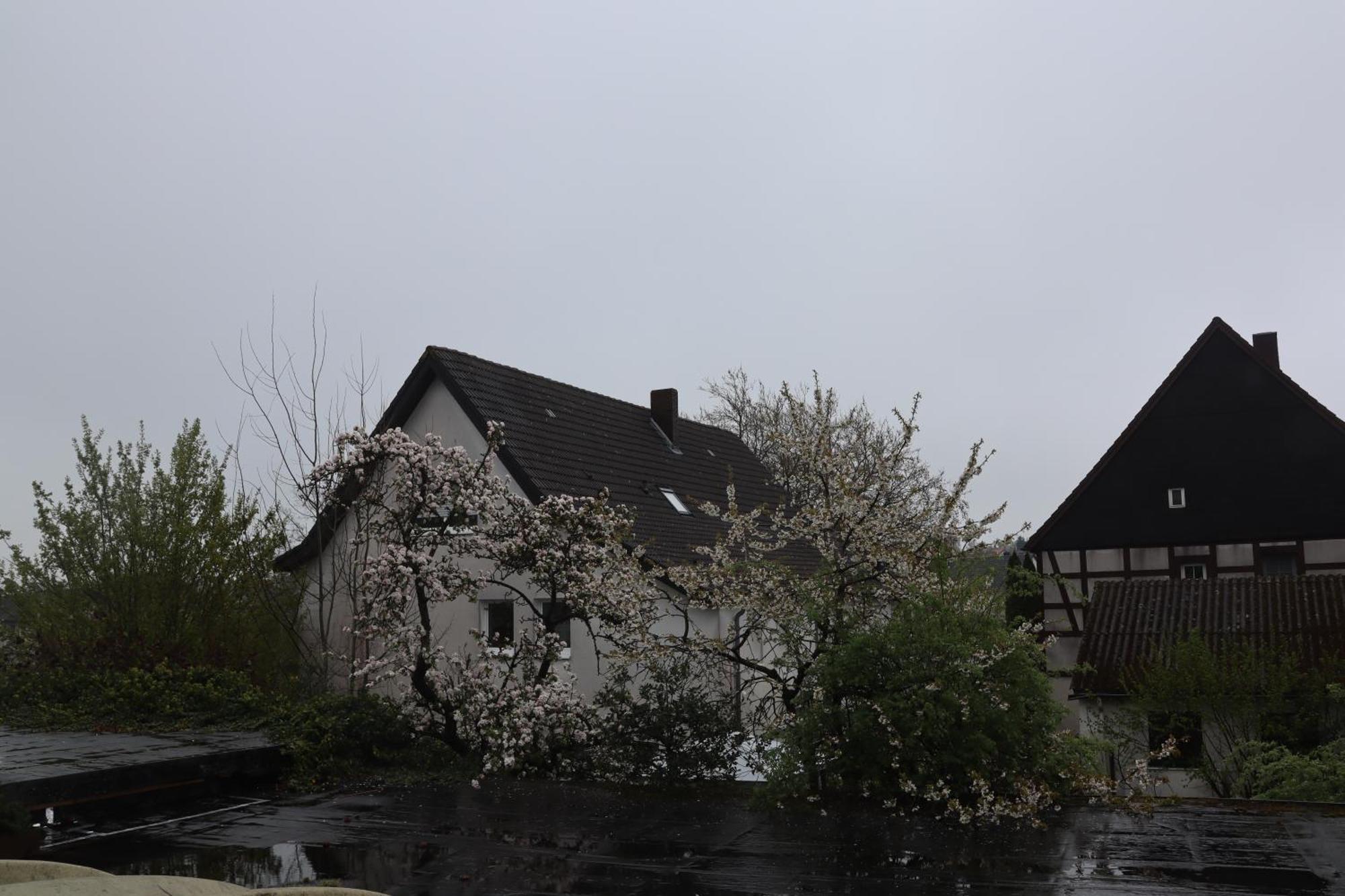 Hotel Haarener Hof Bad Wünnenberg 외부 사진